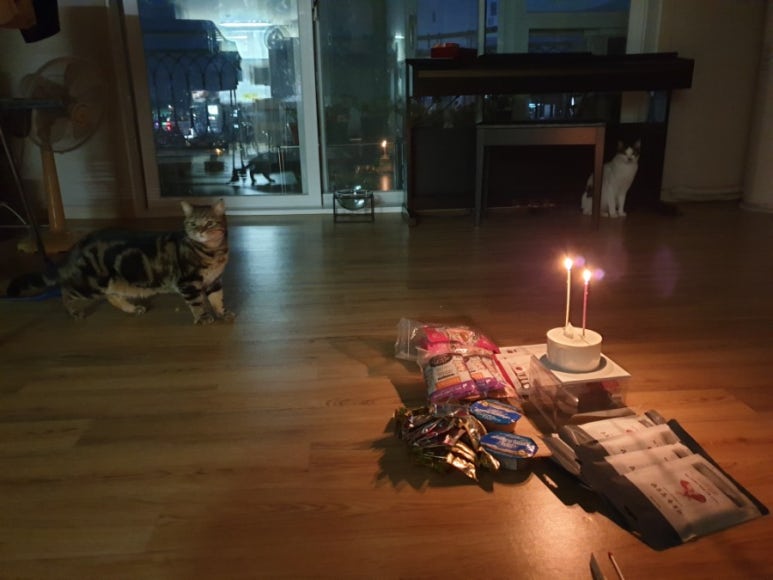 더꾼 이미지