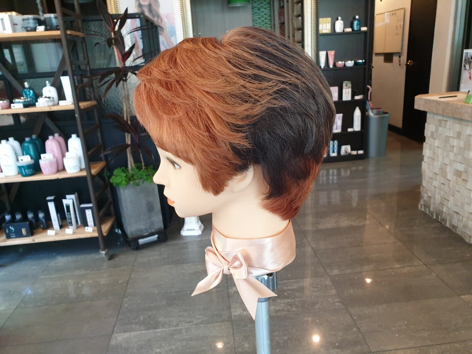 컷&칼라 이미지