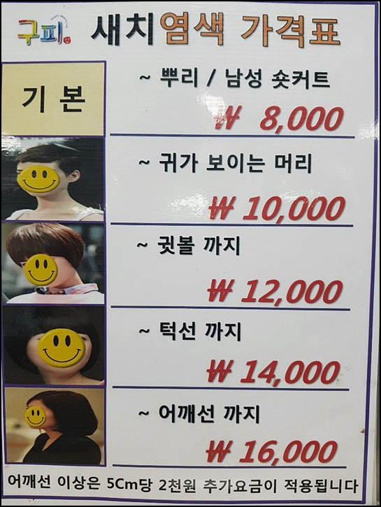 구피염색방 이미지