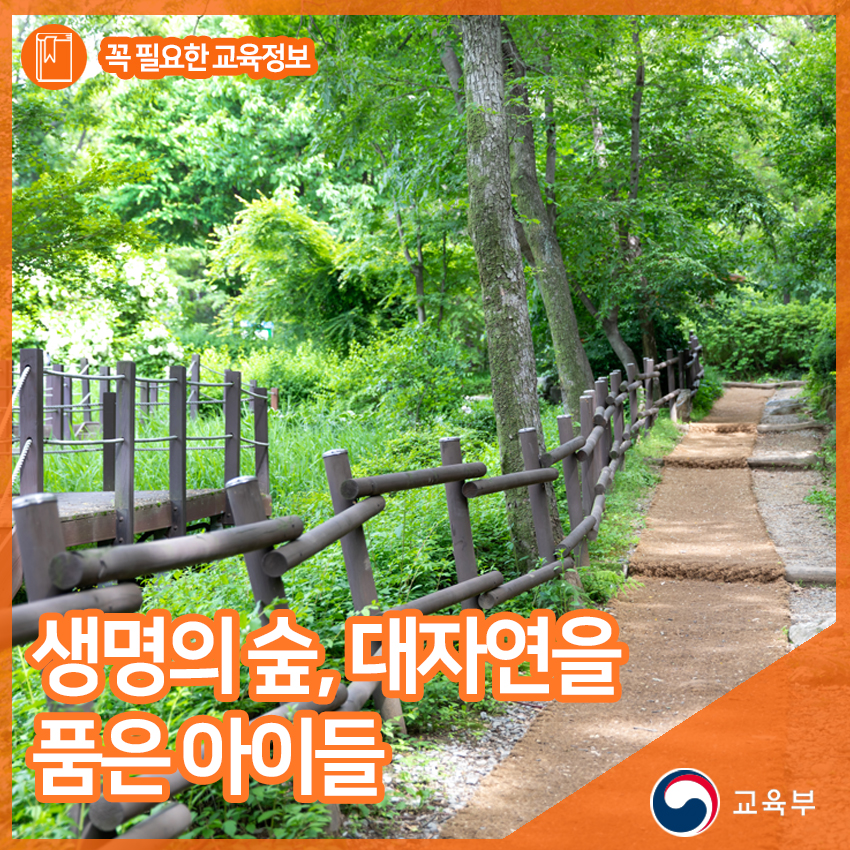대자연유치원 이미지