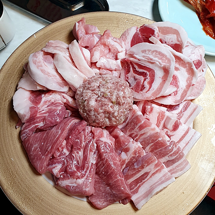 접시고기 이미지