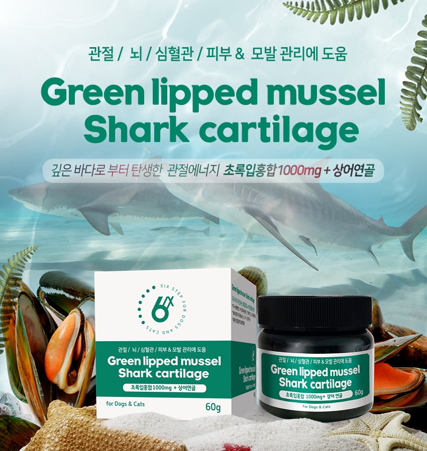 초록상어 이미지