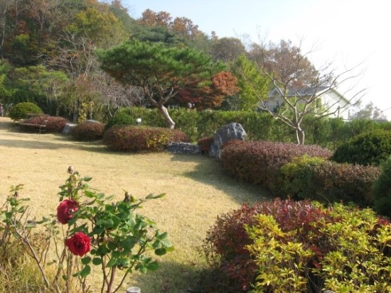 푸른조경 이미지
