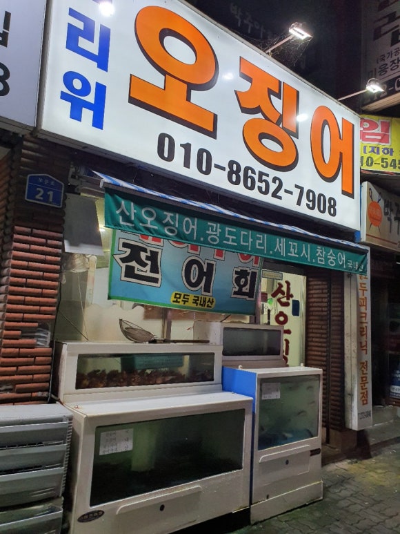 산오징어전어 이미지