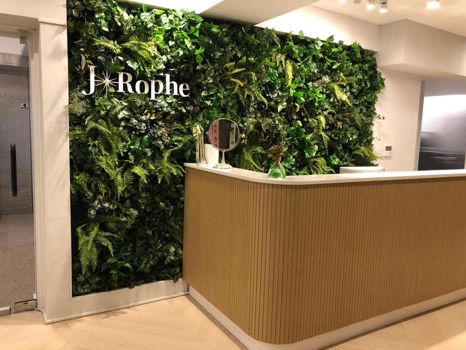 라파(Rophe) 이미지
