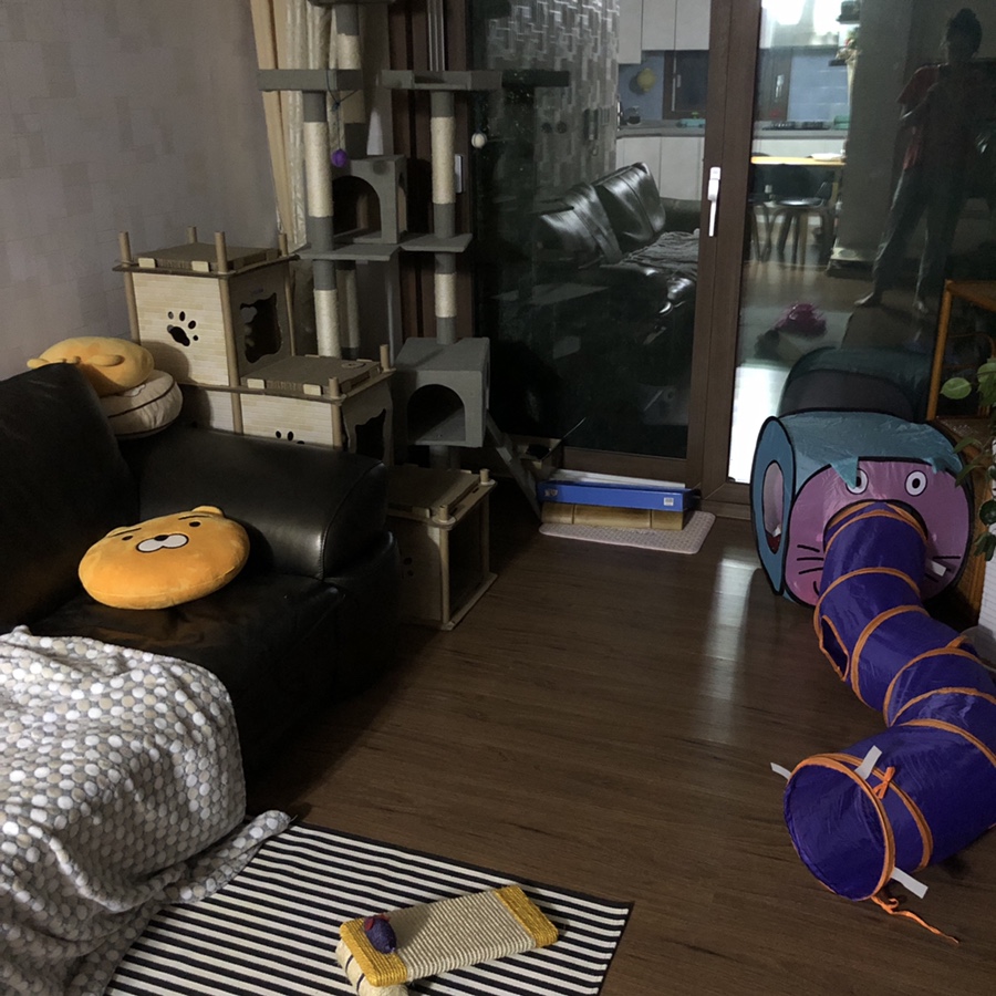 코코네청소 이미지