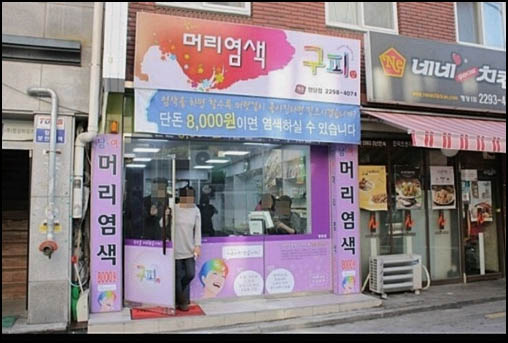 구피염색방 이미지