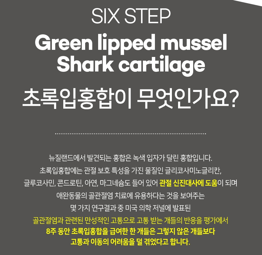 초록상어 이미지