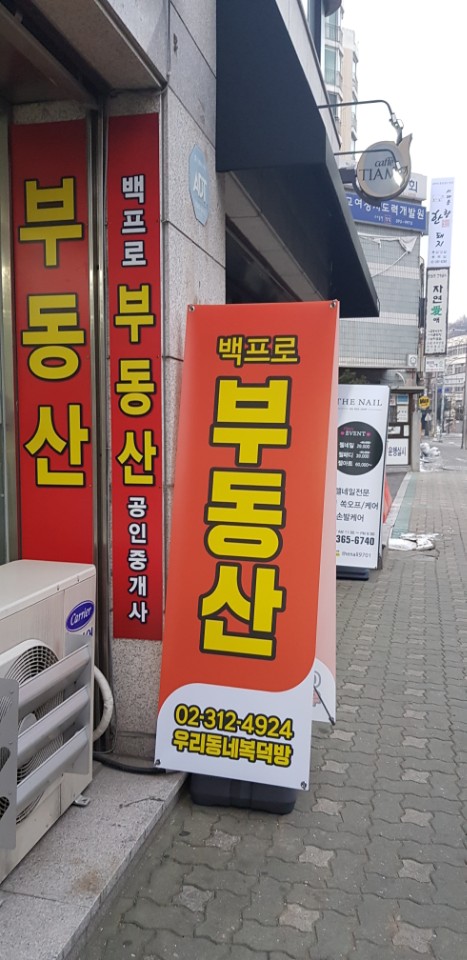 금화장 이미지