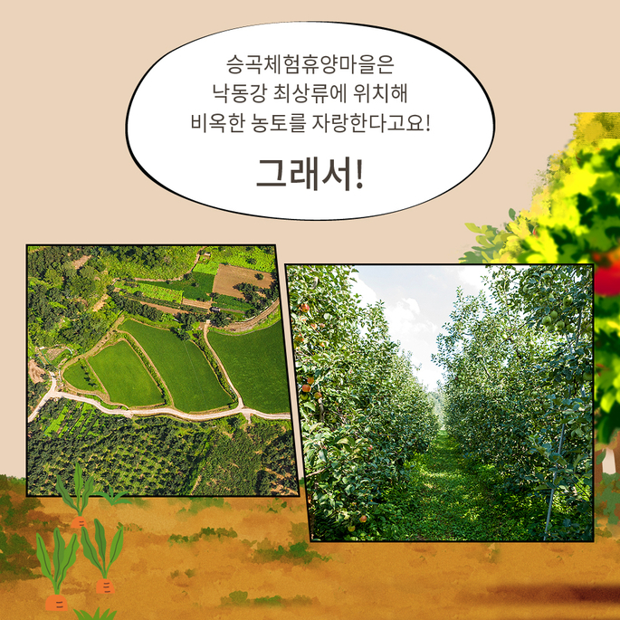 승곡체험마을 이미지