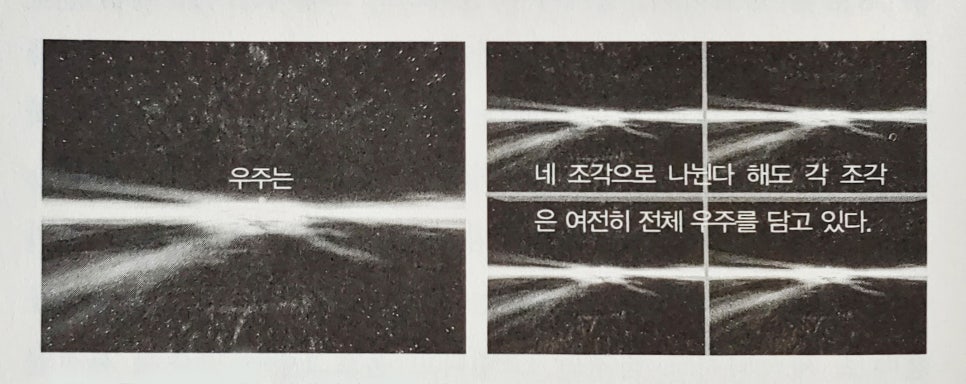 디바인(Divine) 이미지
