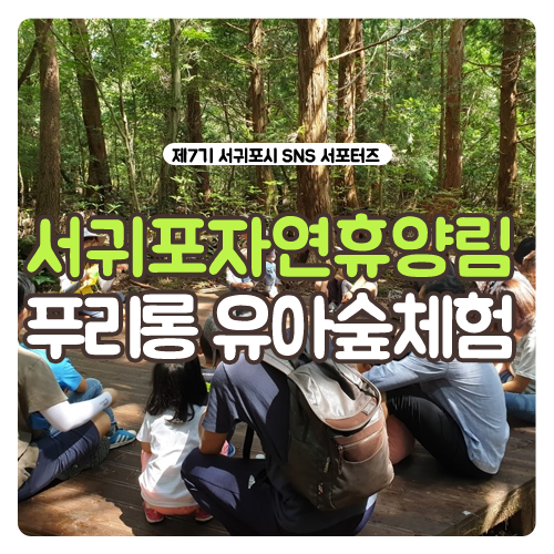 푸리롱 유아숲체험원 이미지