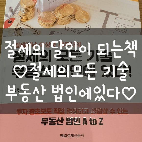 세무법인가람 이미지