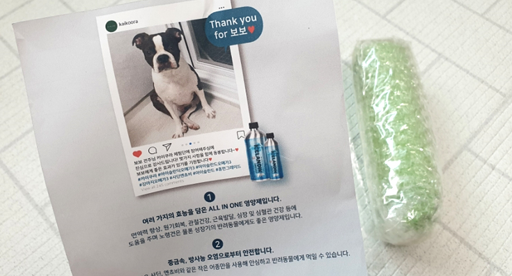 보보네 이미지