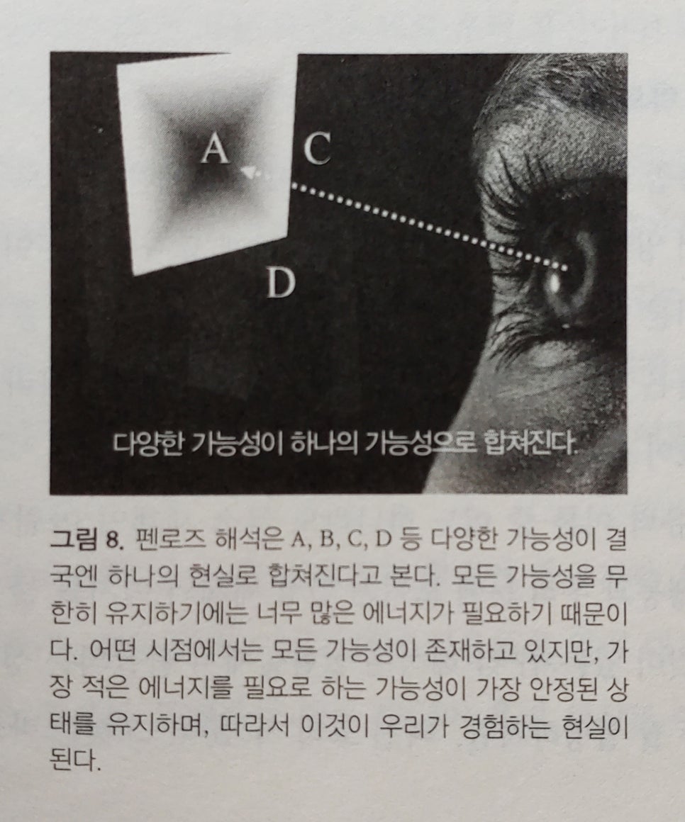 디바인(Divine) 이미지