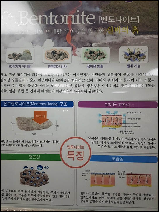 구피염색방 이미지
