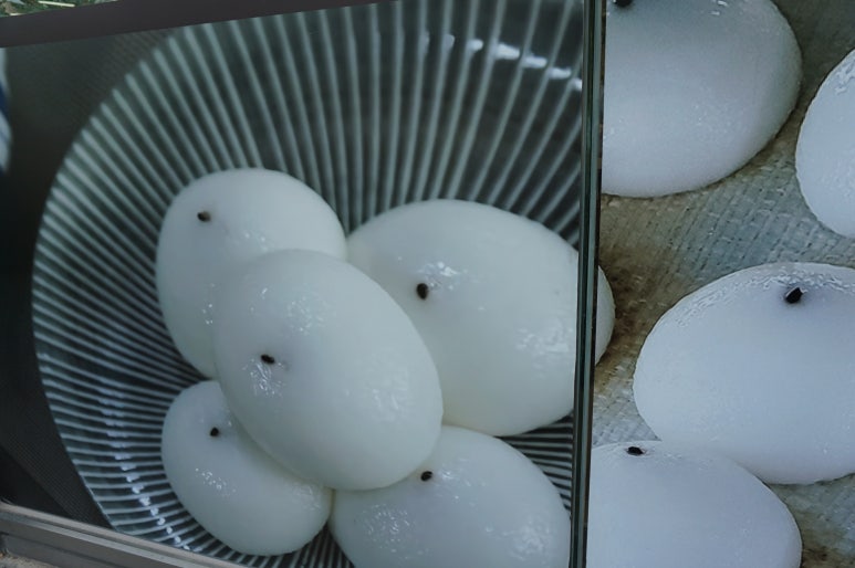 강릉떡집 이미지