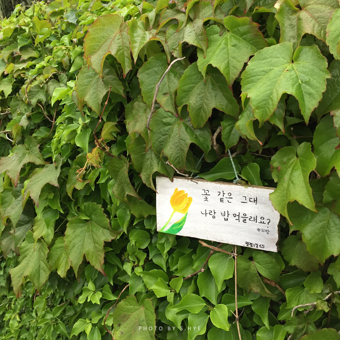 해변다방 이미지