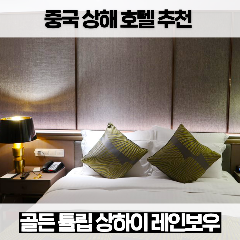 상하이 레인보우 이미지
