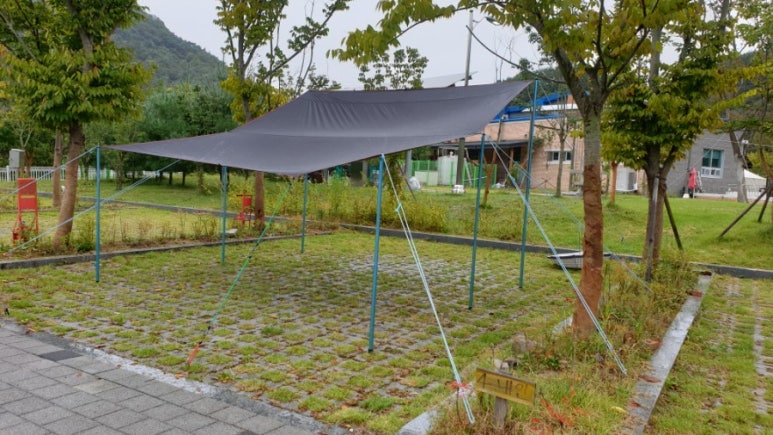 강변사리 이미지