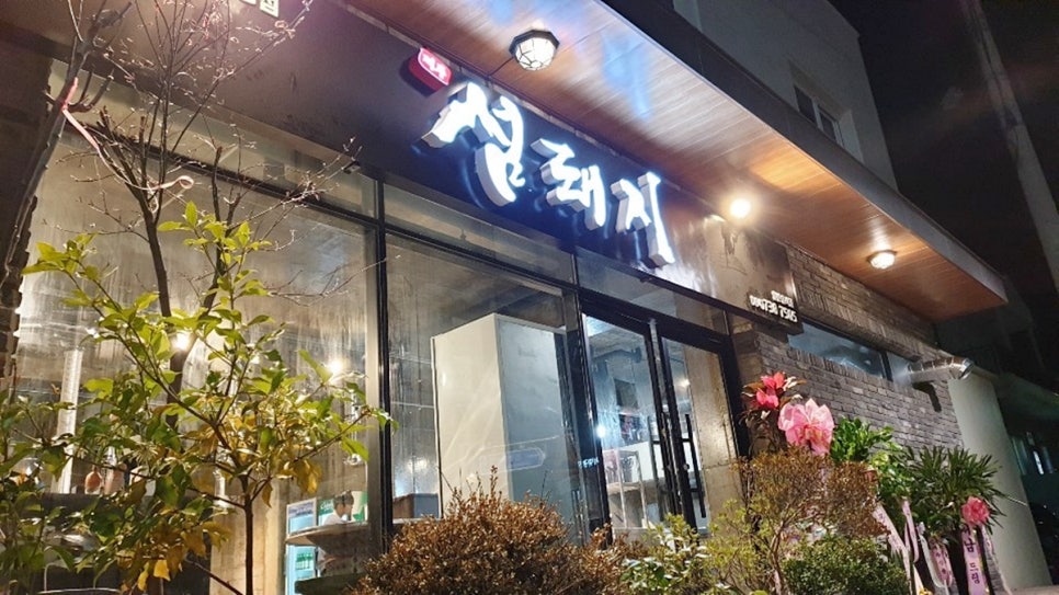 섬돼지 이미지