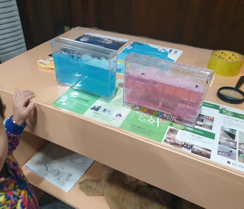 전주곤충캠퍼스 이미지
