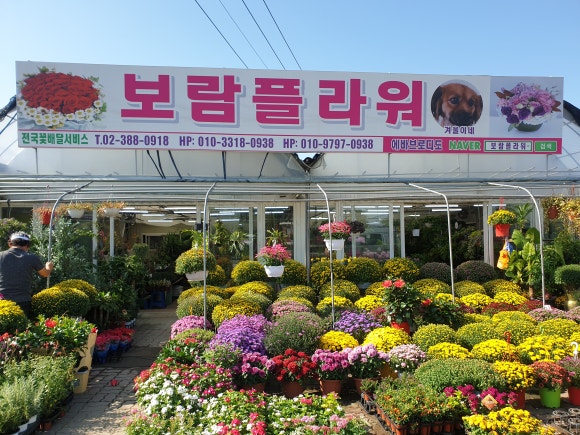 보람있는이곳 이미지
