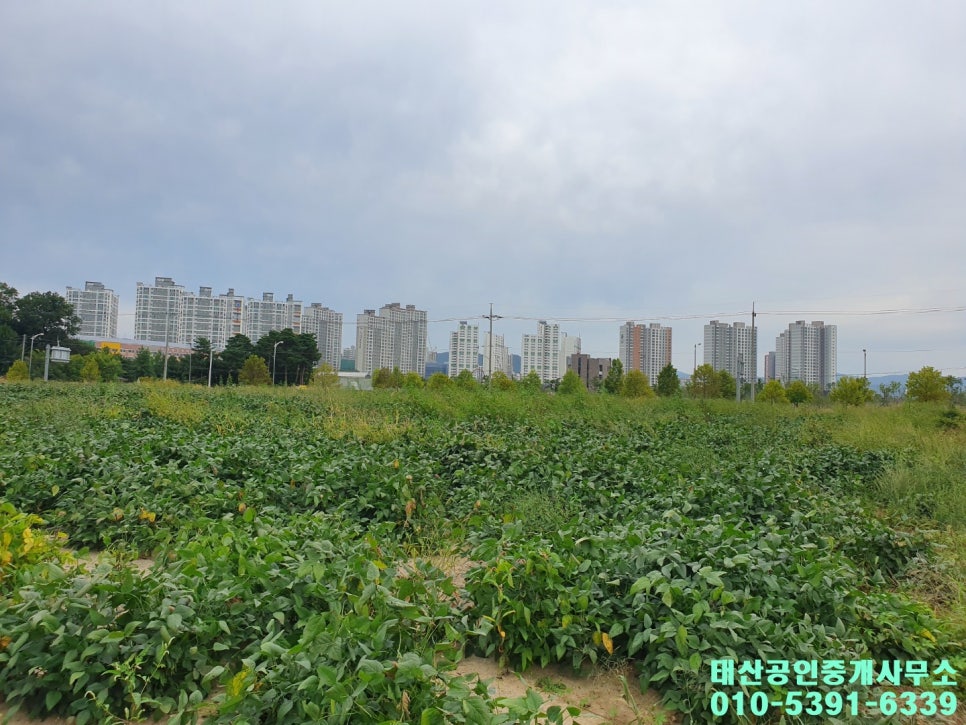 태산공업사 이미지