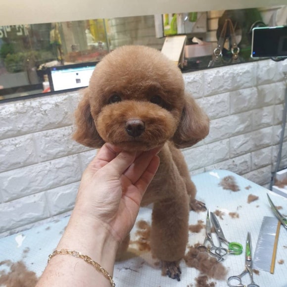 크라운앤피플 이미지