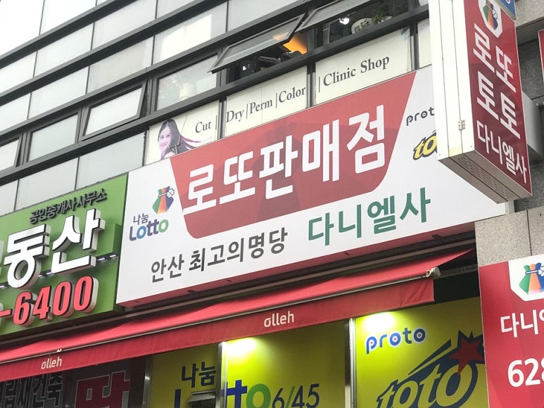 다니엘사 이미지
