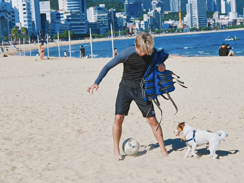 크레이지서퍼스 이미지