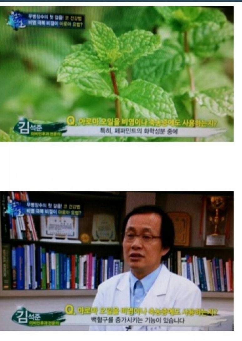 영아로마 이미지