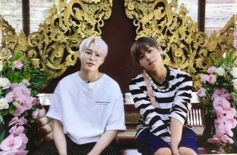 마요트레블 이미지