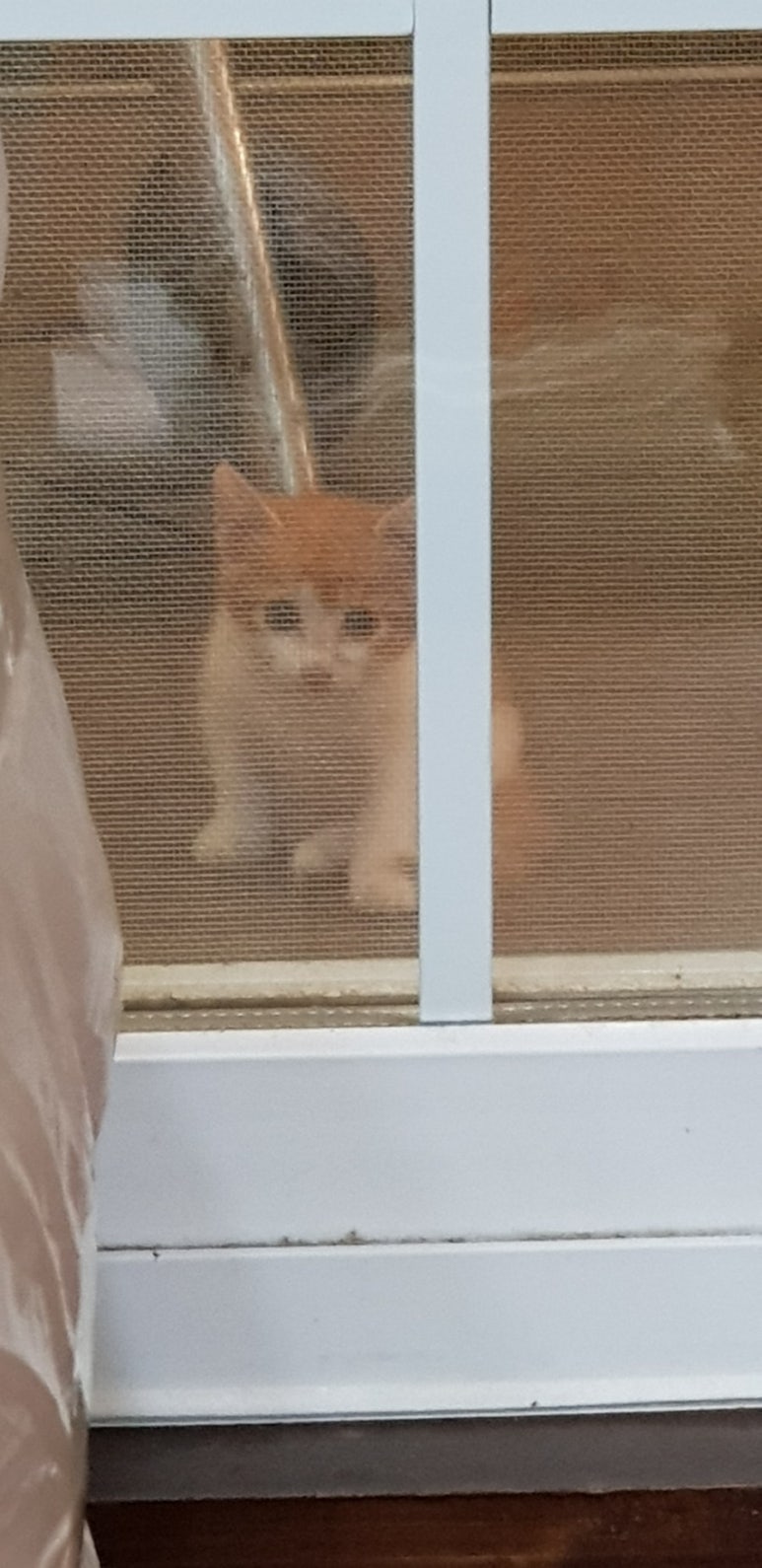 뜰이야기2 이미지