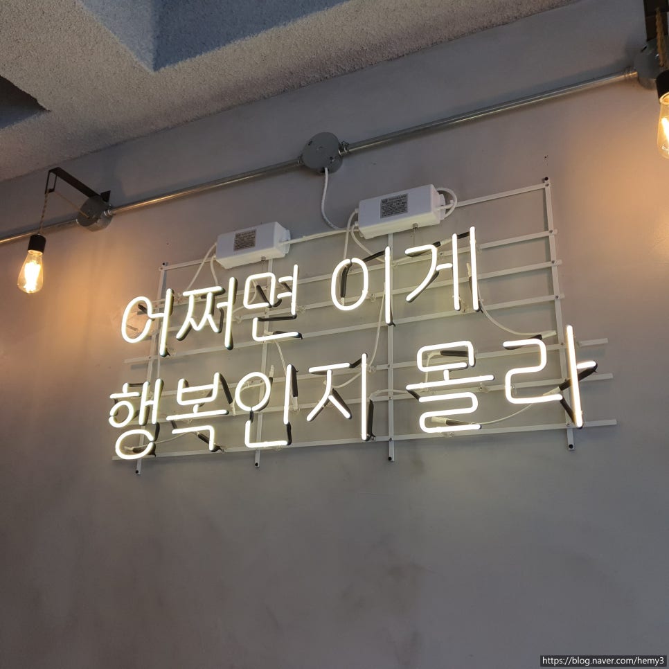 별빛에반하다 이미지