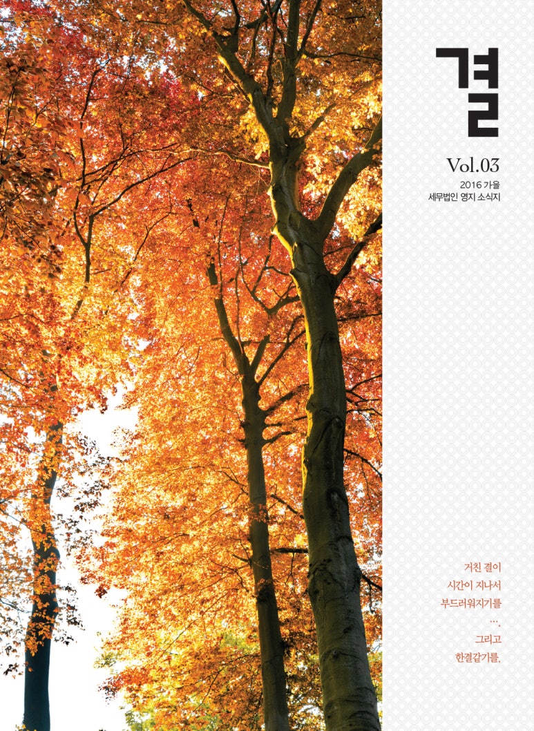 세무법인영지 이미지