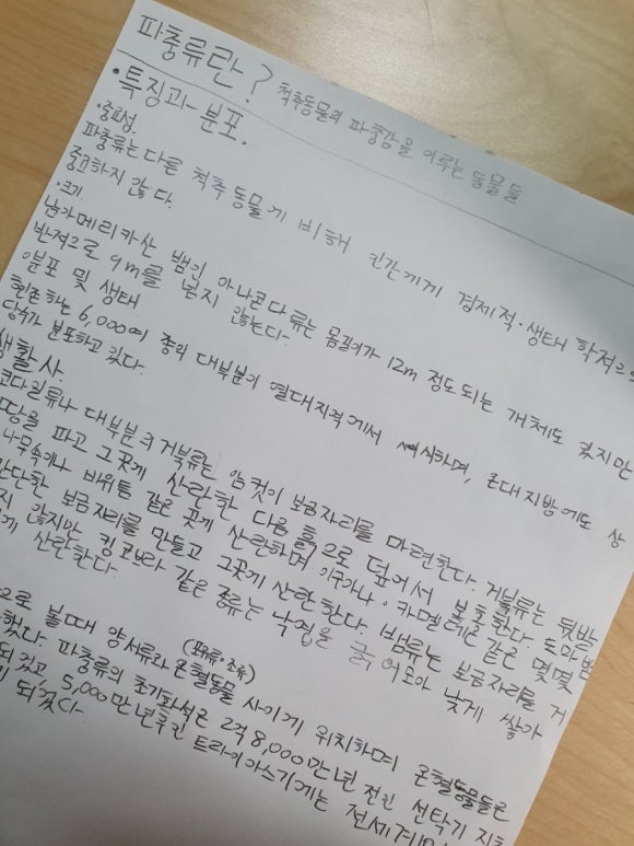 (주)벨라폰 이미지