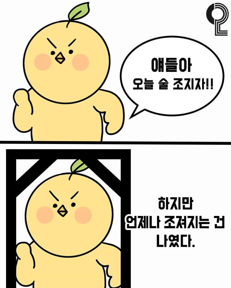 소메랑 이미지