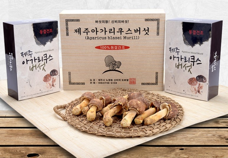 김상민아가리쿠스 이미지
