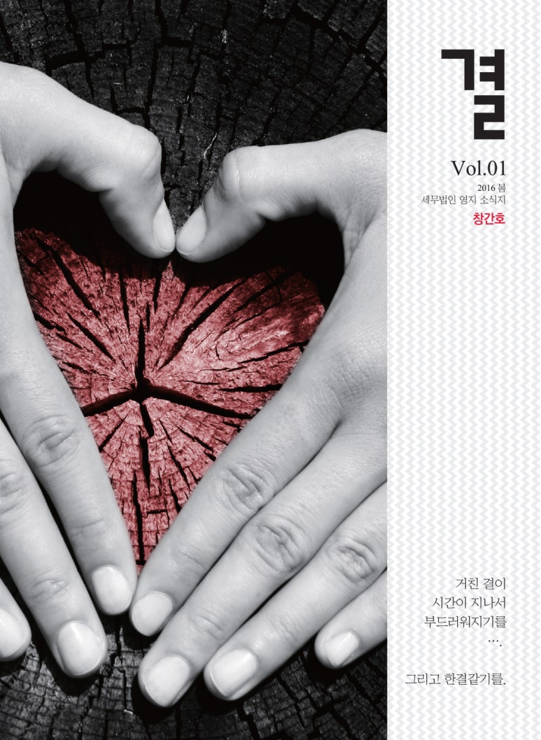세무법인영지 이미지