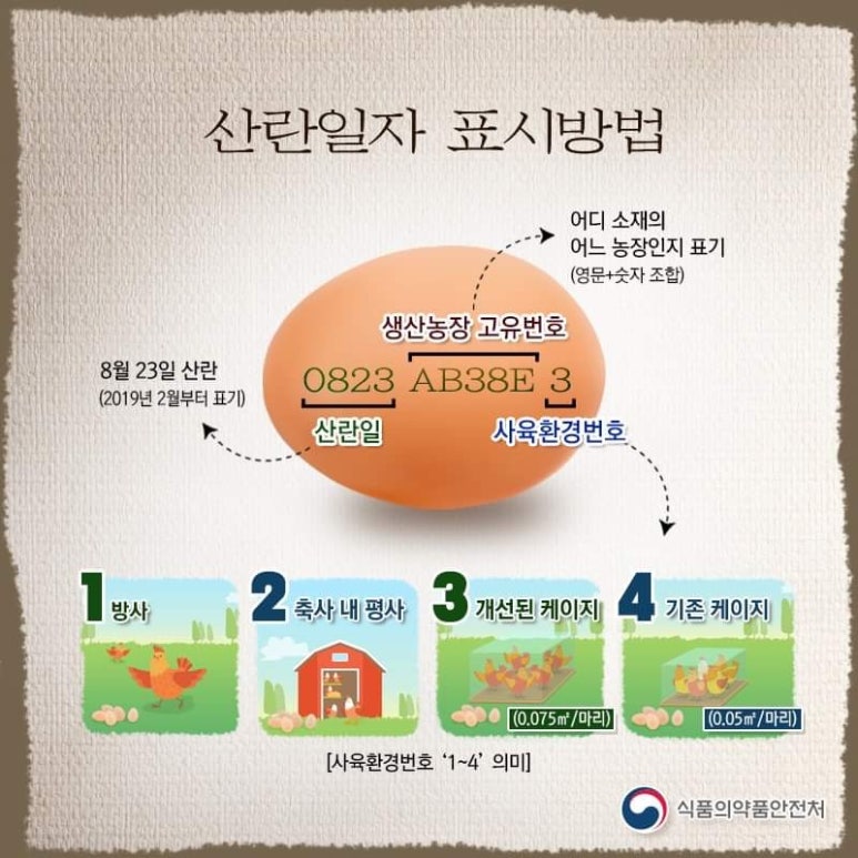 싱싱계란 이미지