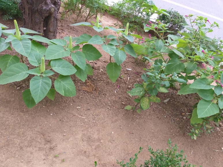 KCC아파트관리소 이미지