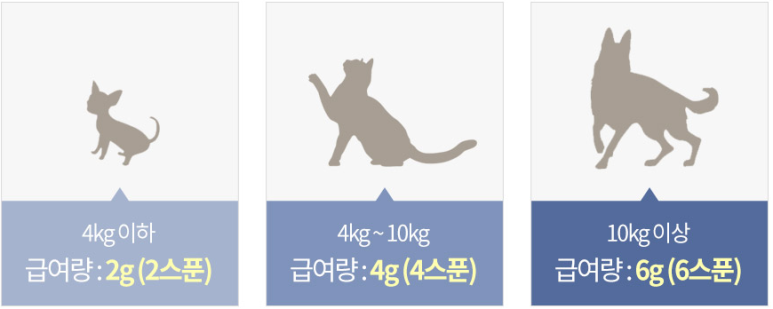 넘버원닥터 이미지