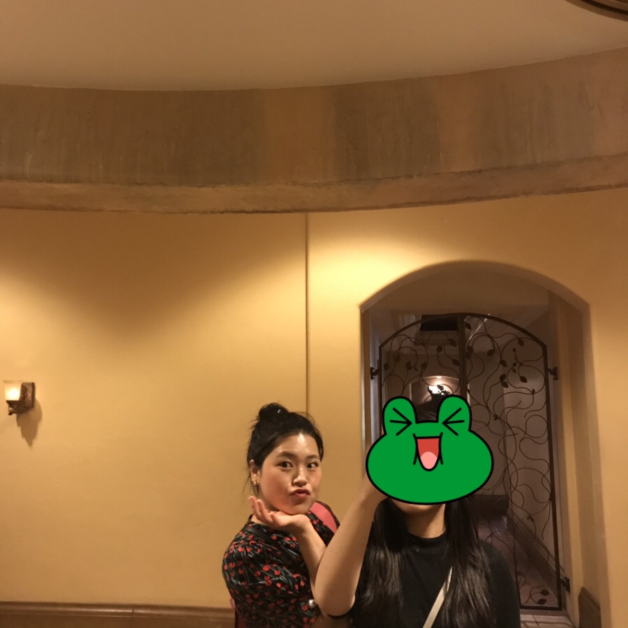 르네브로우 이미지