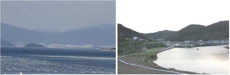 정이민박 이미지