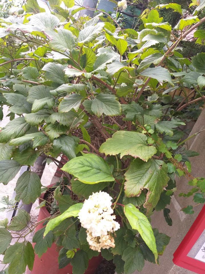KCC아파트관리소 이미지