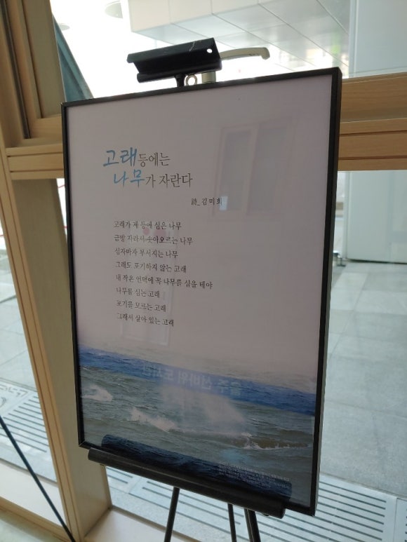 고래등 이미지