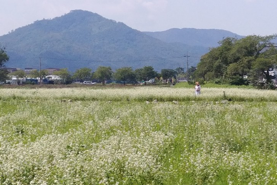 루트94펜션 이미지