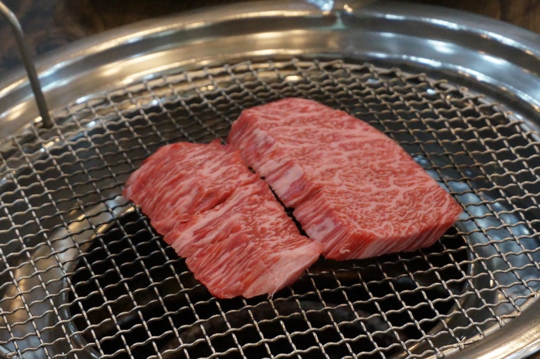 대의한우 이미지