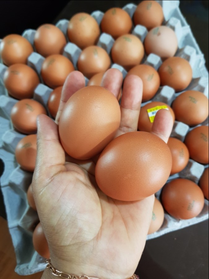 조은계란유통 이미지